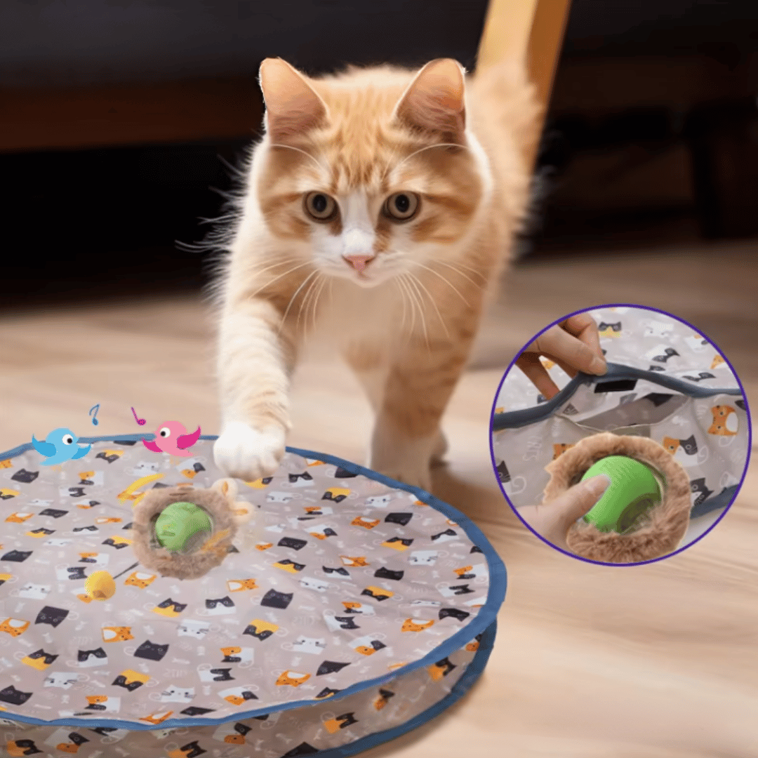 Kitty Hunt Kit - Automatic Ball & Cover