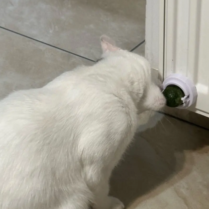 Catnip Ball