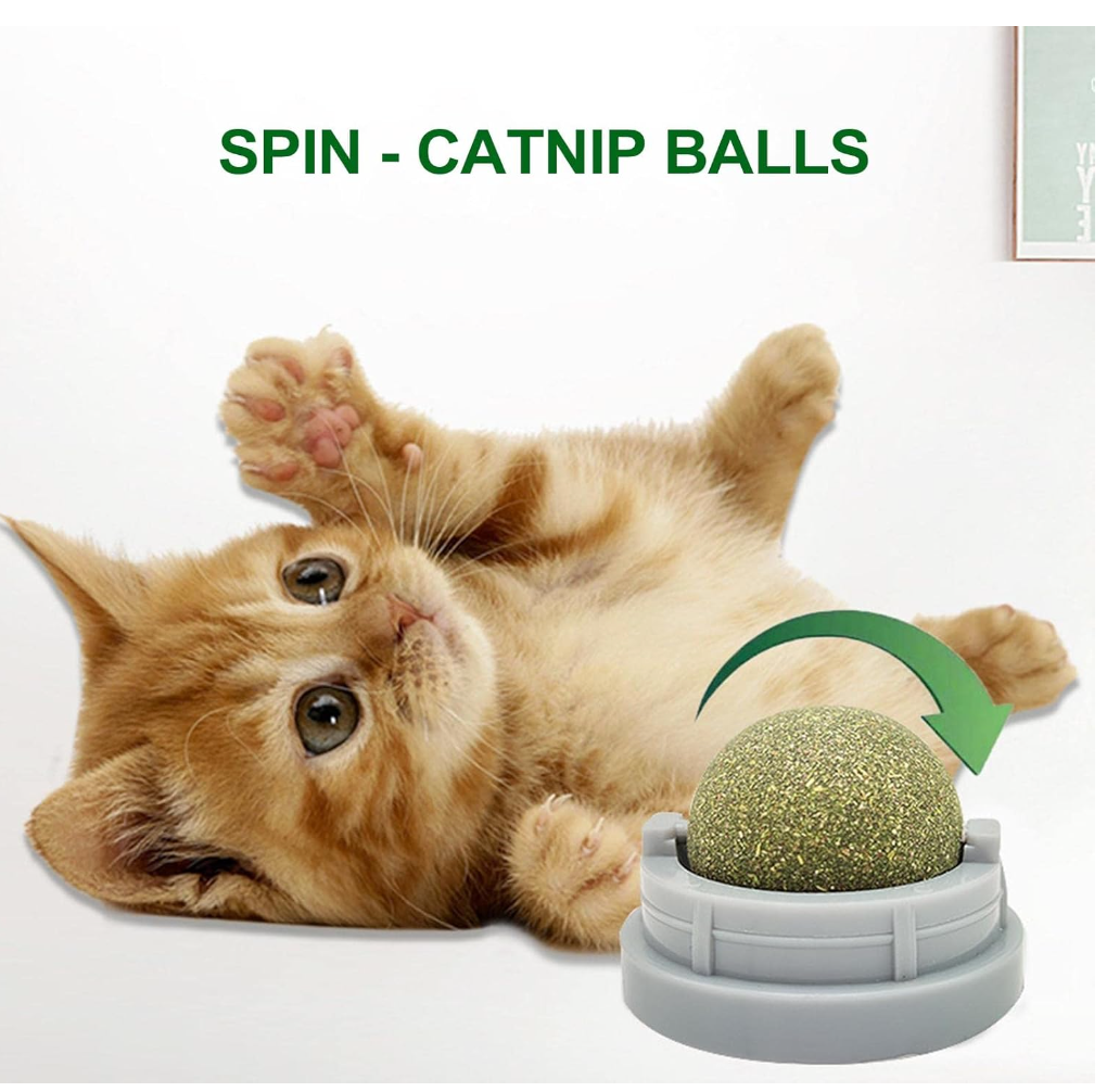 Catnip Ball