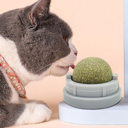 Catnip Ball