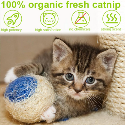 Catnip Spray